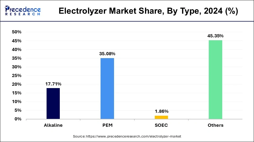 Electrolyzer Market Share, By Type, 2024 (%)