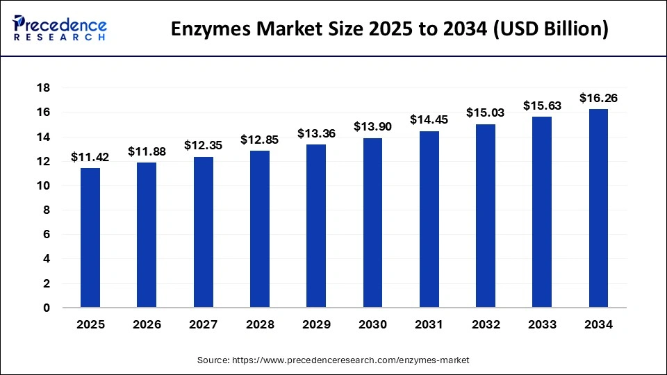 Enzymes Market Size 2025 to 2034