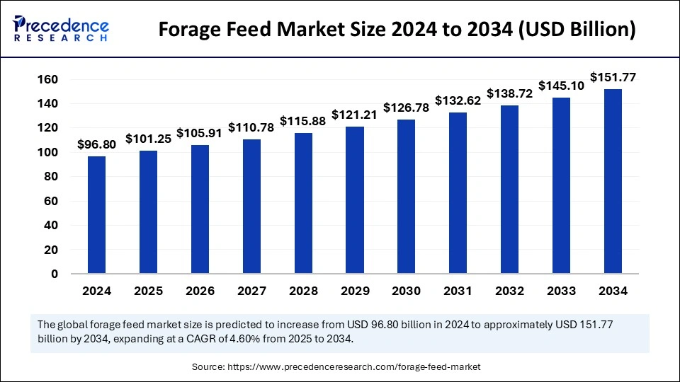 Forage Feed Market Size 2025 to 2034