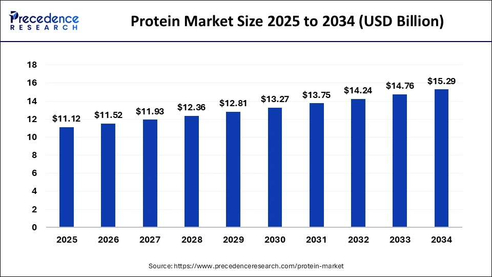 Protein Market Size 2025 to 2034
